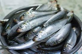 Kaboria Seafood